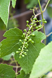 Similar image 180456