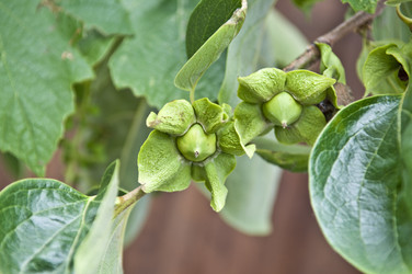 Similar image 180457