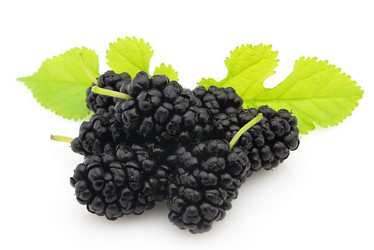 Similar image 180463