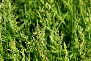 Similar image 180467