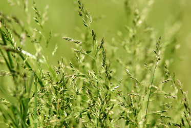 Similar image 180470