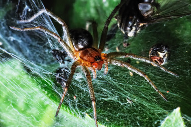 Similar image 180485