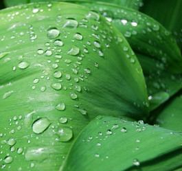 Similar image 180549