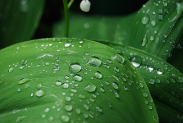 Similar image 180550