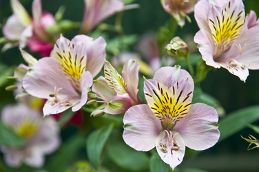 Similar image 180629