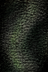 Similar image 180631