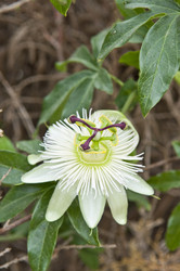 Similar image 180651