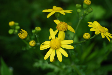 Similar image 180656