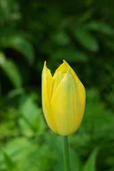 Similar image 180658