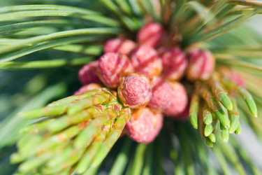 Similar image 180663