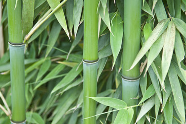 Similar image 180681