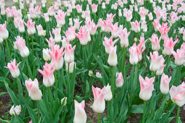 Similar image 180699