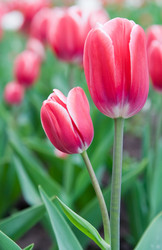 Similar image 180700