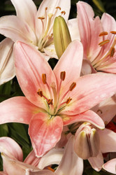 Similar image 180702