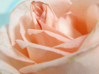 Similar image 180710