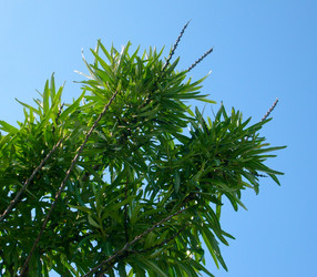 Similar image 180761