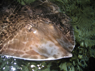 Similar image 180822