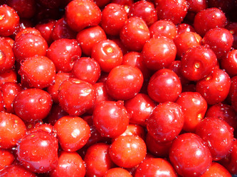 Similar image 180834