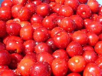 Similar image 180835