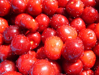 Similar image 180836