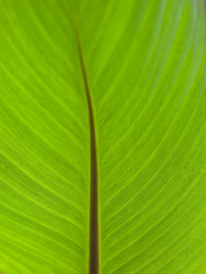 Similar image 180845