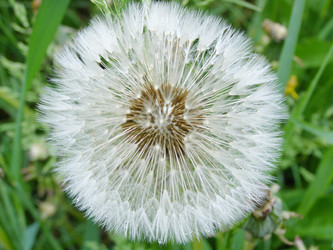 Similar image 180865