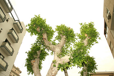 Similar image 180870