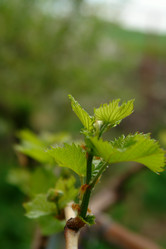 Similar image 180907