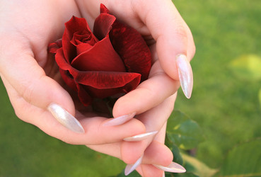 Similar image 180991