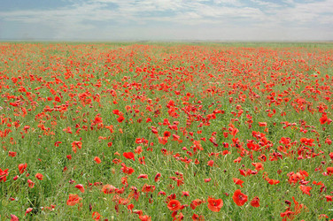 Similar image 181019