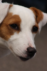 Similar image 181027