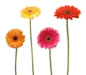 Similar image 181082