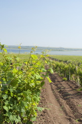 Similar image 181096