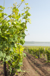 Similar image 181097