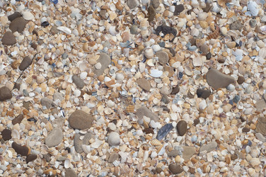 Similar image 181098