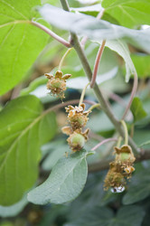 Similar image 181118