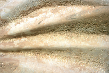 Similar image 181137