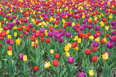 Similar image 181144