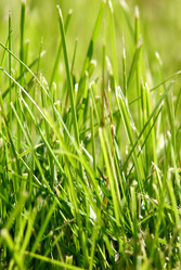 Similar image 181156