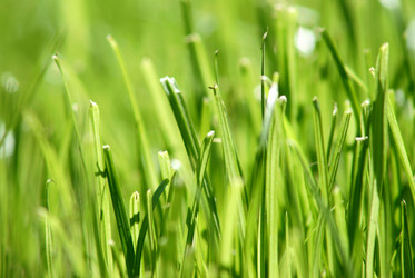 Similar image 181157