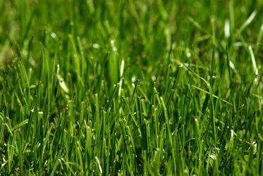 Similar image 181158