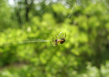 Similar image 181175