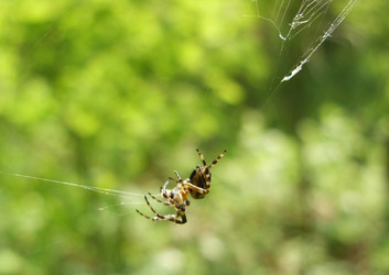 Similar image 181176