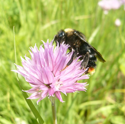 Similar image 181186