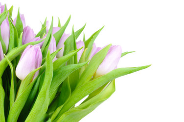 Similar image 181207