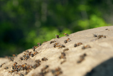 Similar image 181208