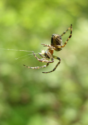 Similar image 181248