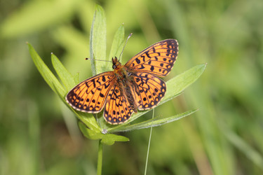 Similar image 181250