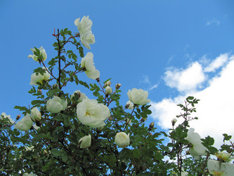 Similar image 181263