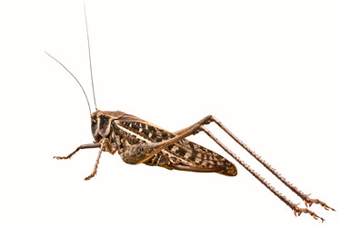 Similar image 181264